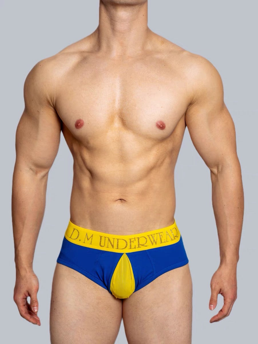 DM MEN’S GLITTER BRIEFS