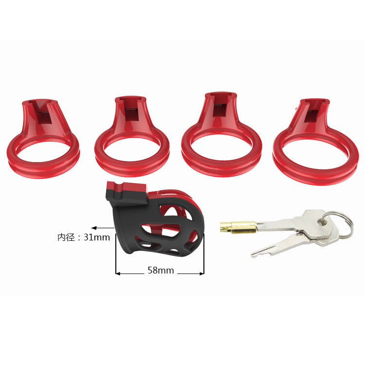 POURKINKS FERRARI LOCKHIM CAGE
