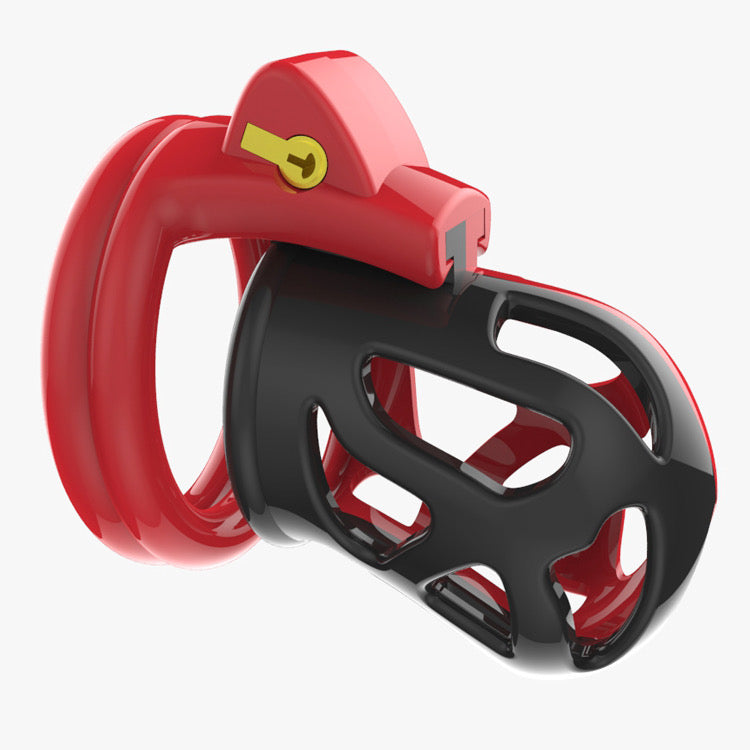 POURKINKS FERRARI LOCKHIM CAGE