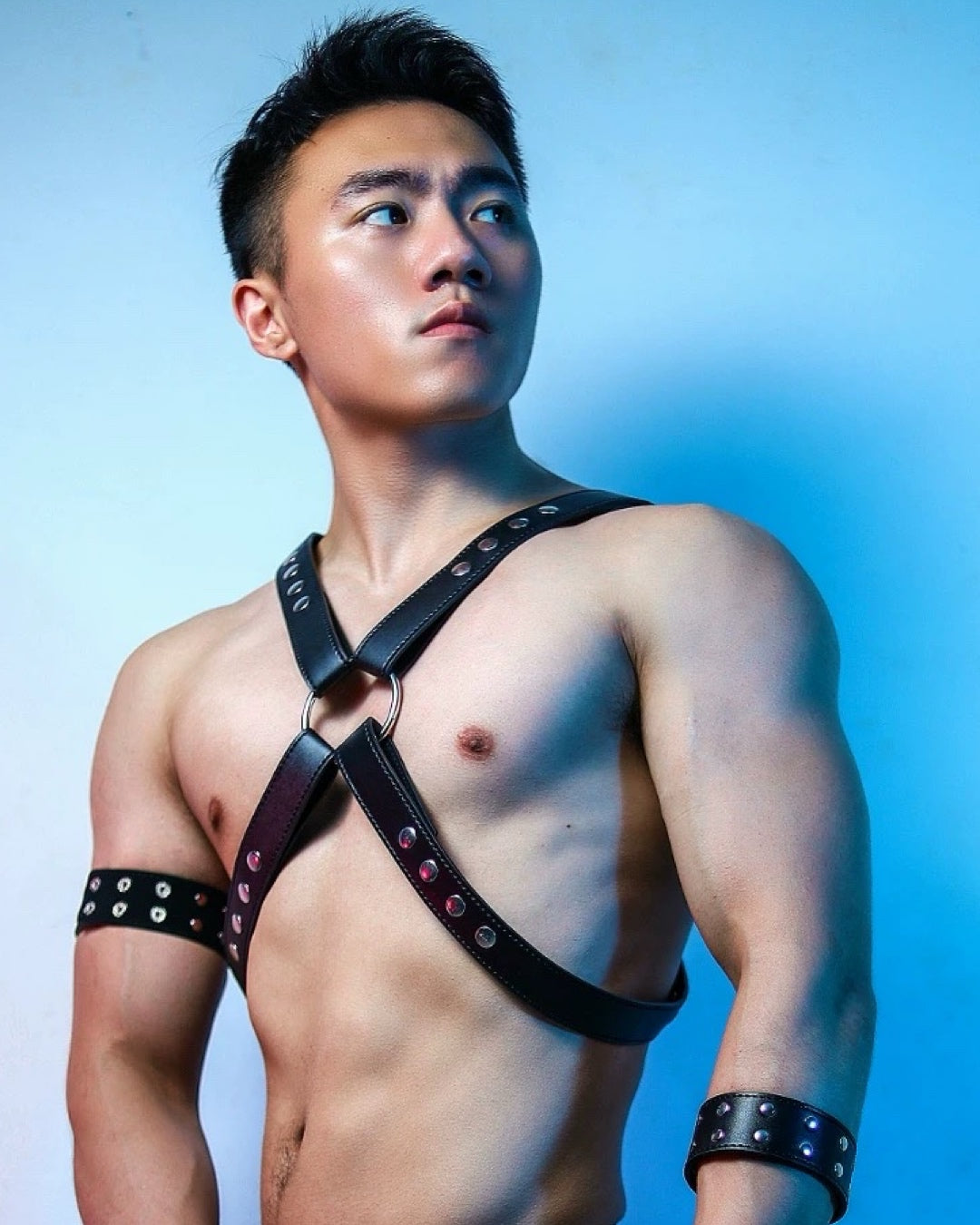 THE HORUS O-RING MEN’S LEATHER HARNESS AND ARMBANDS