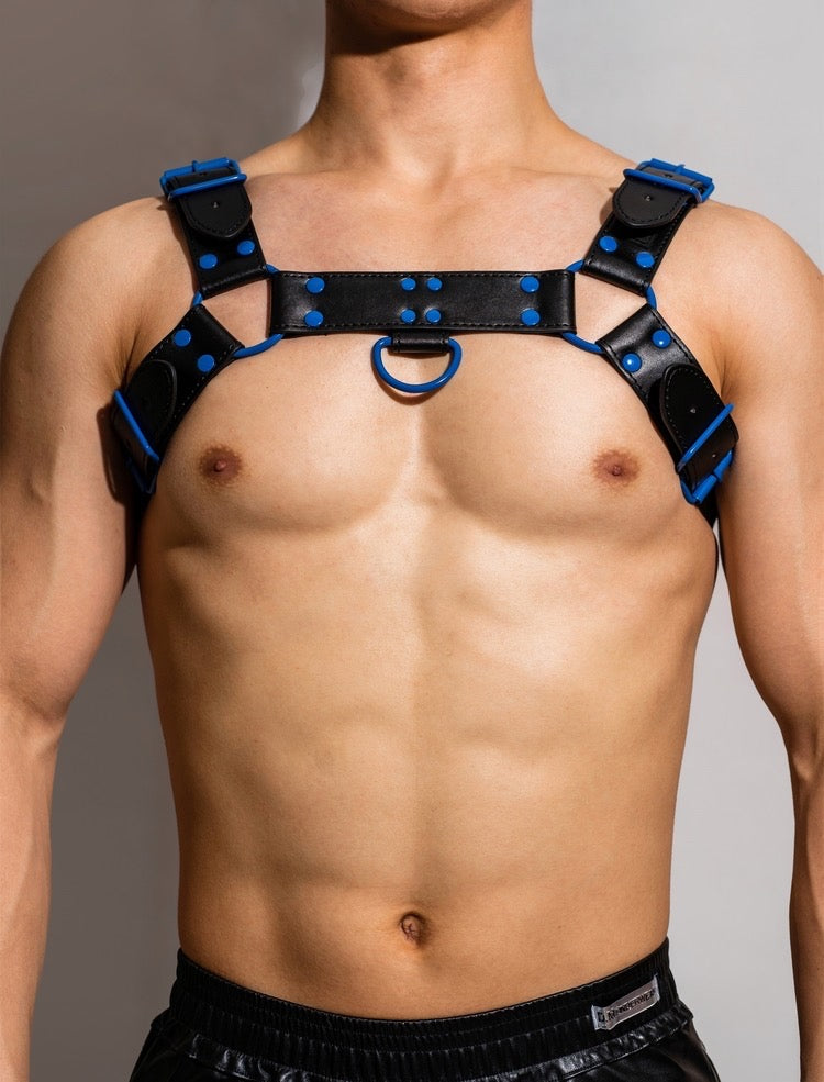 DM MEN’S LEATHER BULLDOG HARNESS