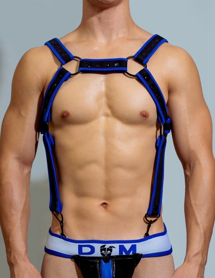 DM MEN’S CIRCUIT PARTY SUSPENDER HARNESS