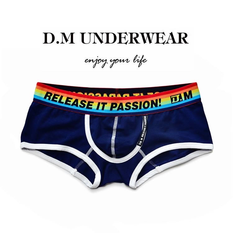 DM RELEASE MEN’S RAINBOW BOXER BRIEFS