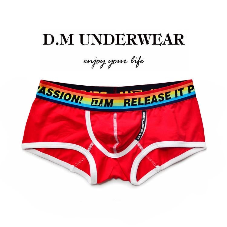 DM RELEASE MEN’S RAINBOW BOXER BRIEFS