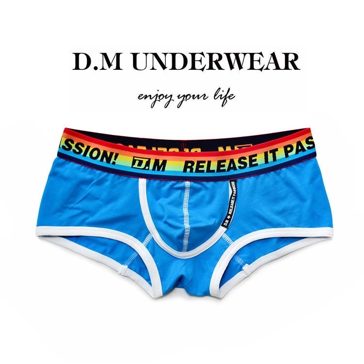 DM RELEASE MEN’S RAINBOW BOXER BRIEFS