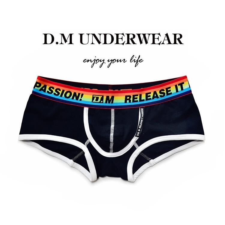 DM RELEASE MEN’S RAINBOW BOXER BRIEFS