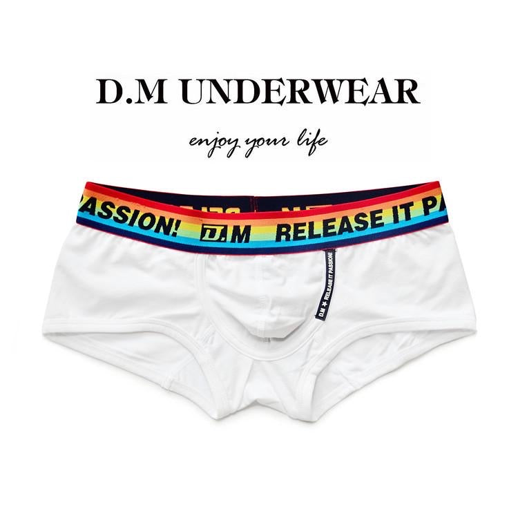 DM RELEASE MEN’S RAINBOW BOXER BRIEFS