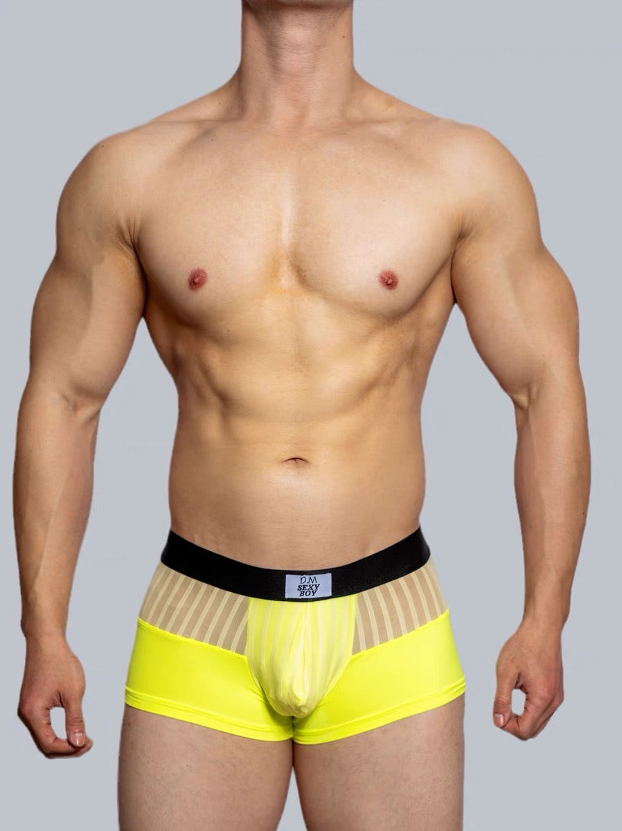 DM MEN’S DESIGNER MESH BOXER BRIEFS