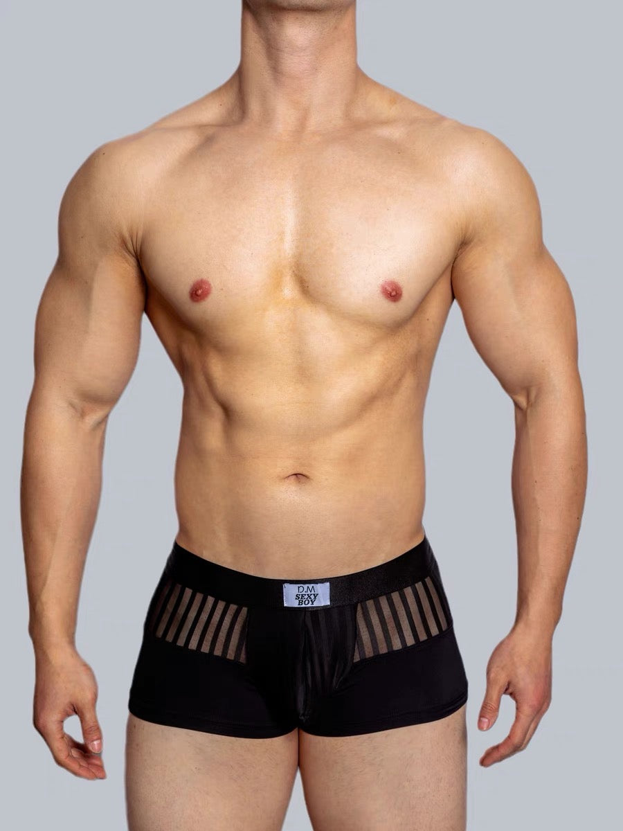 DM MEN’S DESIGNER MESH BOXER BRIEFS