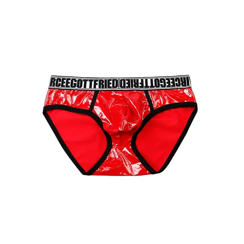 AIRGOTT MEN’S DESIGNER LEATHER BRIEFS AND HARNESS PACK